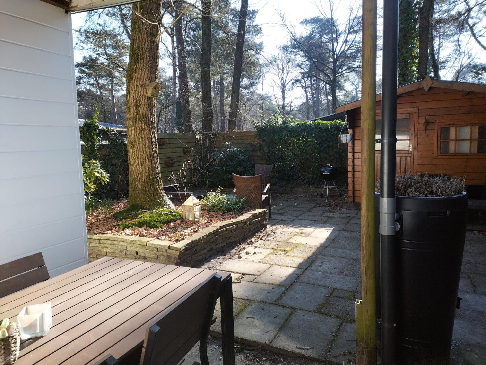 Wulft 47 Zonnig Gezellig 6P Chalet Met Zwembad In Bosrijke Omgeving Op Familie Camping De Vossenburcht IJhorst Exteriér fotografie